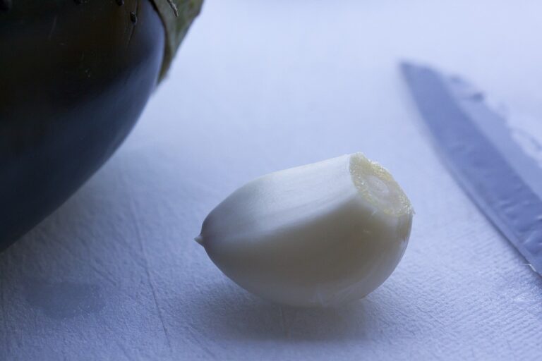 Exploring Innovative Approaches to Diabetes Management