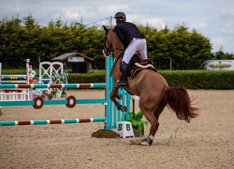 IPL’s Contribution to India’s Tourism Industry: Beyond Cricket