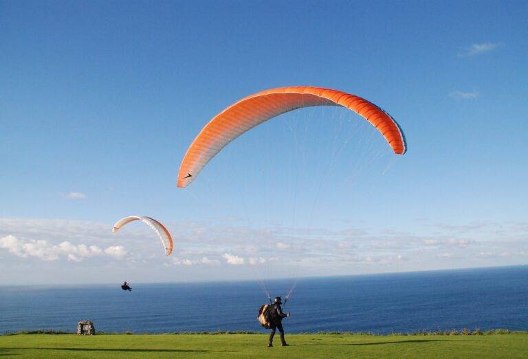 Fan Engagement Strategies: Lessons from IPL’s Most Successful Teams