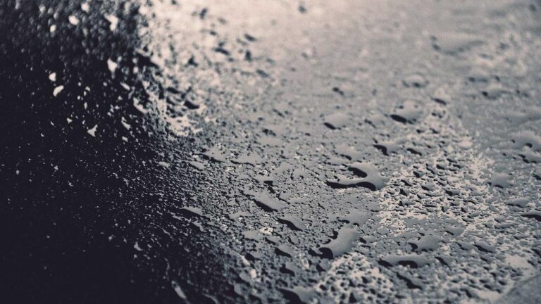 How Does 99Exch Multi Login Work For Users With Several Ids?