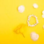 Reddybook Review: How This Platform Transforms Learning and the Role of 11xplay